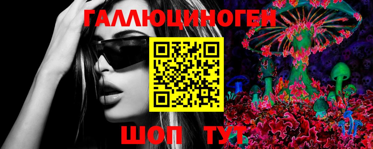 Псилоцибиновые грибы Psilocybine cubensis Таганрог