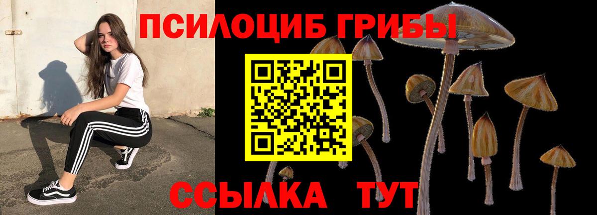Таганрог  Псилоцибиновые грибы Magic Shrooms  Псилоцибиновые грибы мухоморы  Вход с VPN 