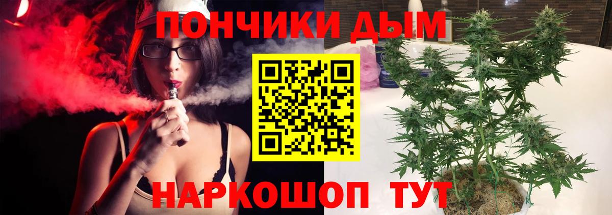 Каннабис планчик  Марихуана индика  Марихуана OG Kush  Вход с VPN  Таганрог 